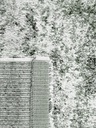 Tint_Hunter_340x240_RUG04658_secondary_1.jpg